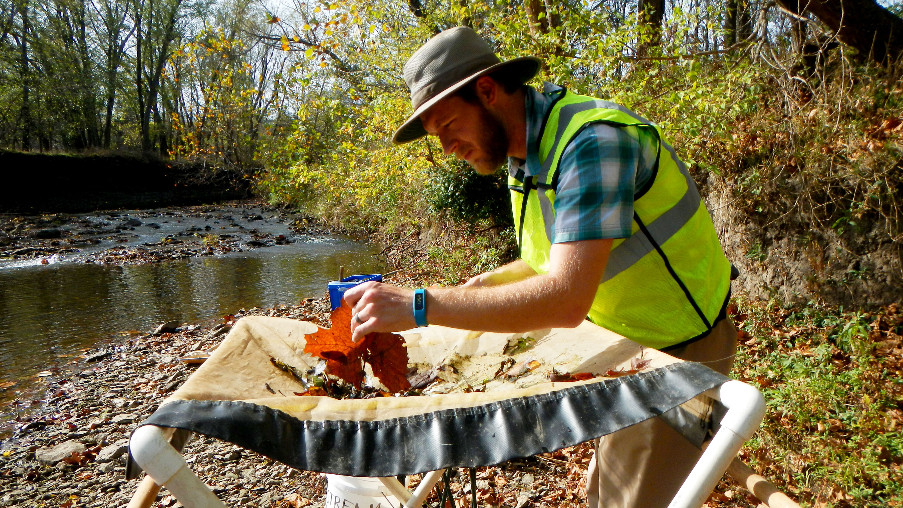 Man holds leaf and samples water quality of stream during warm weather