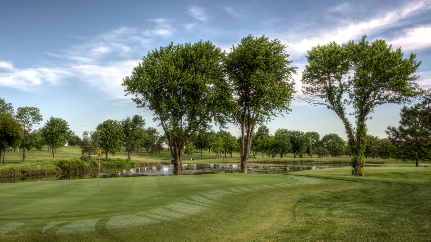 Trees and green at Sykes Lady Overland Park Golf Club