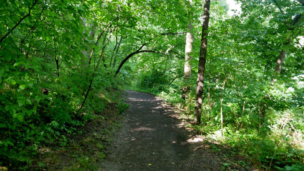 Hiking Trails + Prairie City of Overland Park, Kansas