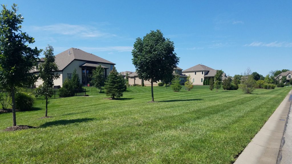 Comprehensive Plan City of Overland Park, Kansas