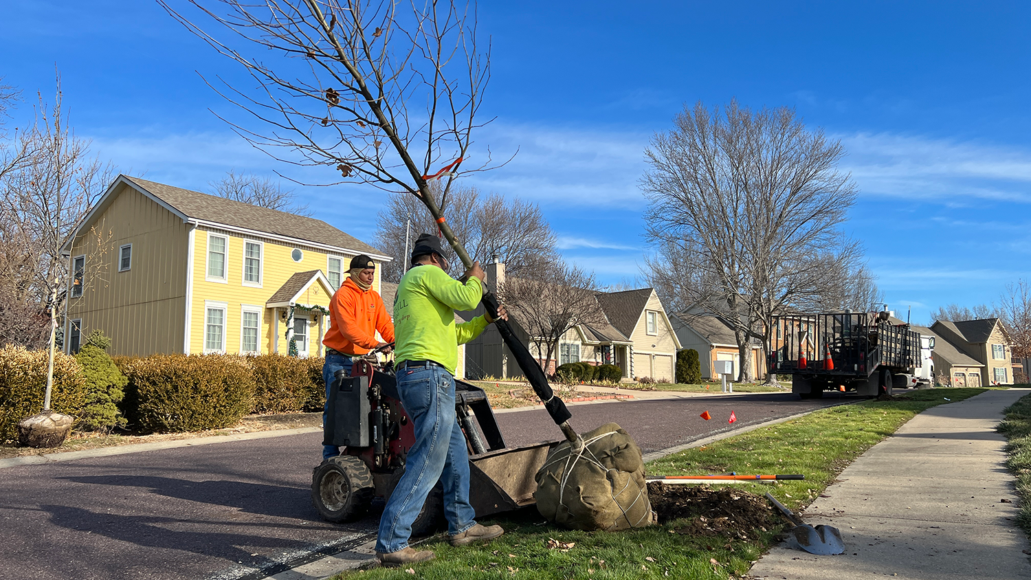 Two workers plant a new street tree along a residential road.