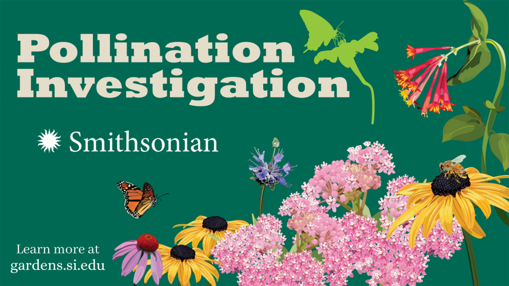 Graphic that reads "Pollination Investigation" and features the Smithsonian logo. Below reads "Learn more at gardens.si.edu."