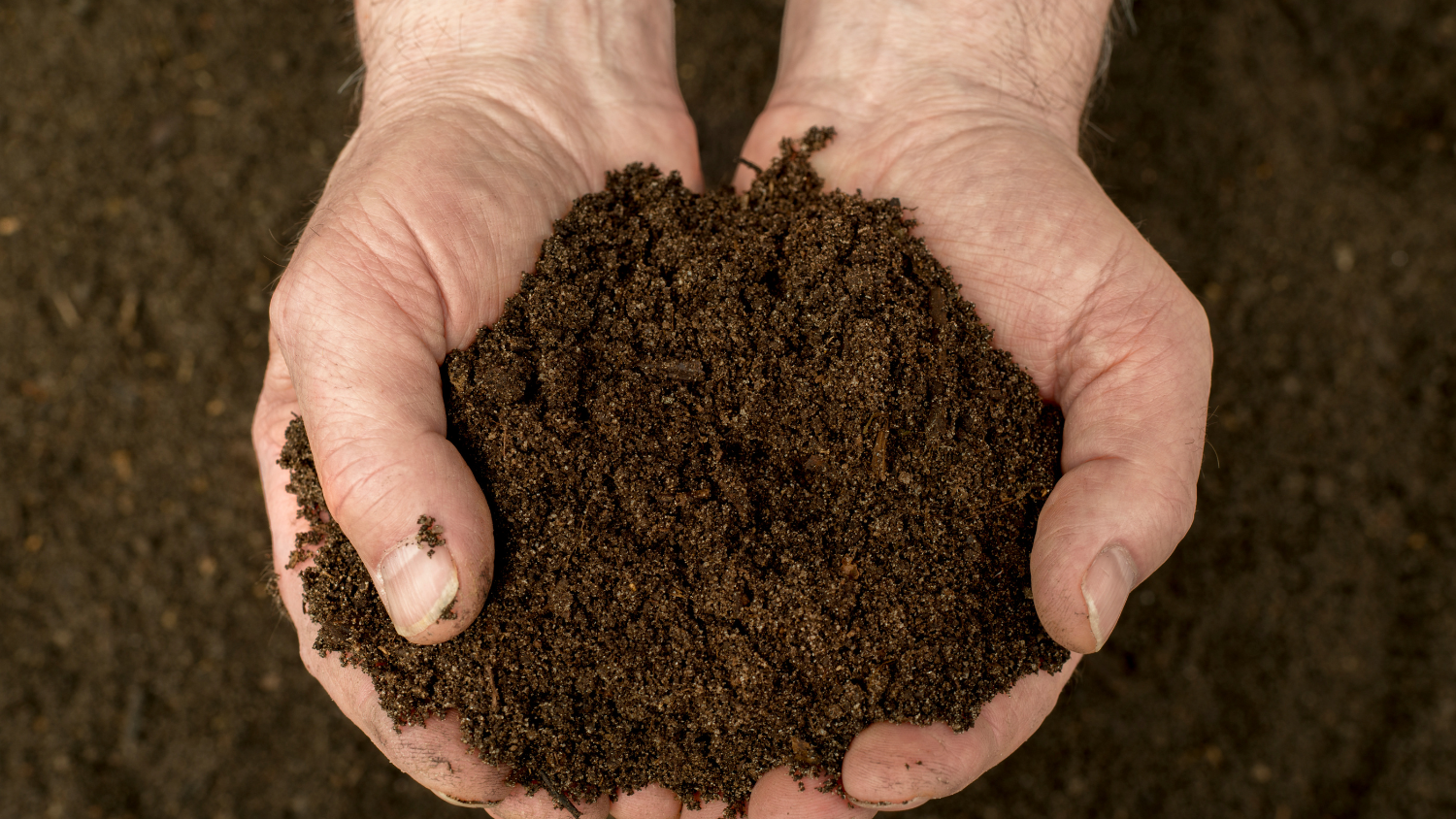 A close-up photo of two hands holding soil.