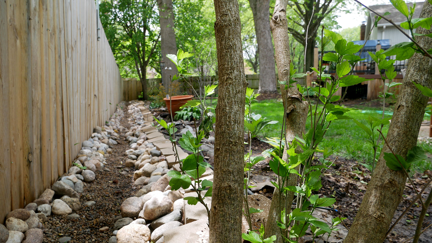 Rocks line a fence in a backyard, surrounded by trees and green grass.