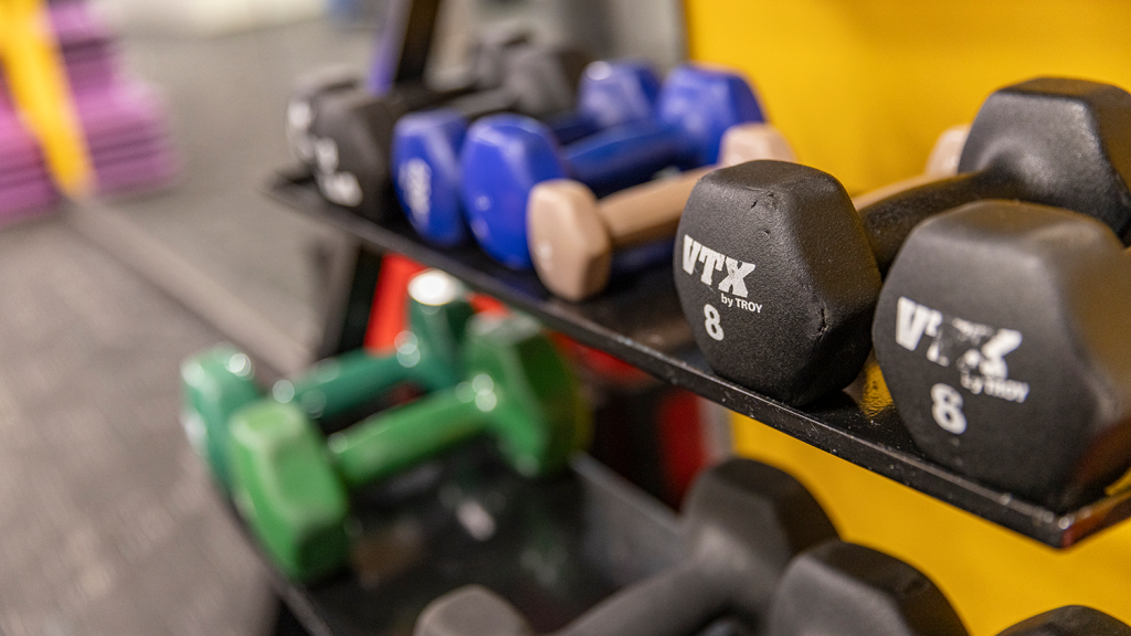 Dumbbells arranged on a rack.
