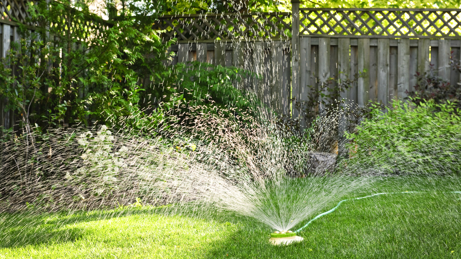 A photo of a sprinkler watering a green lawn.