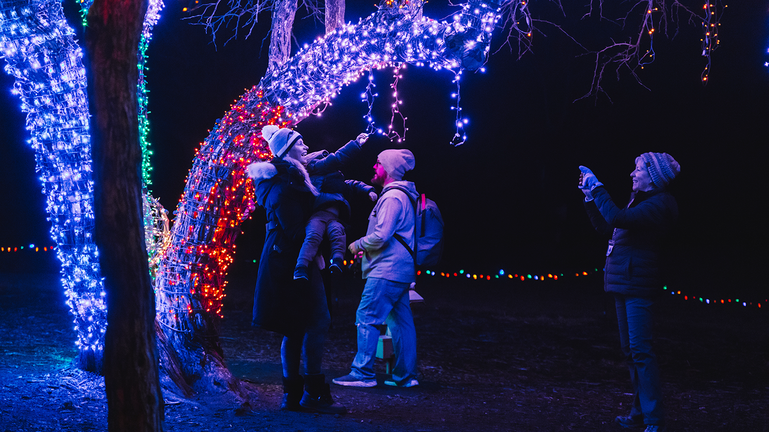 People take pictures next to a tree wrapped completely in bright holiday lights.