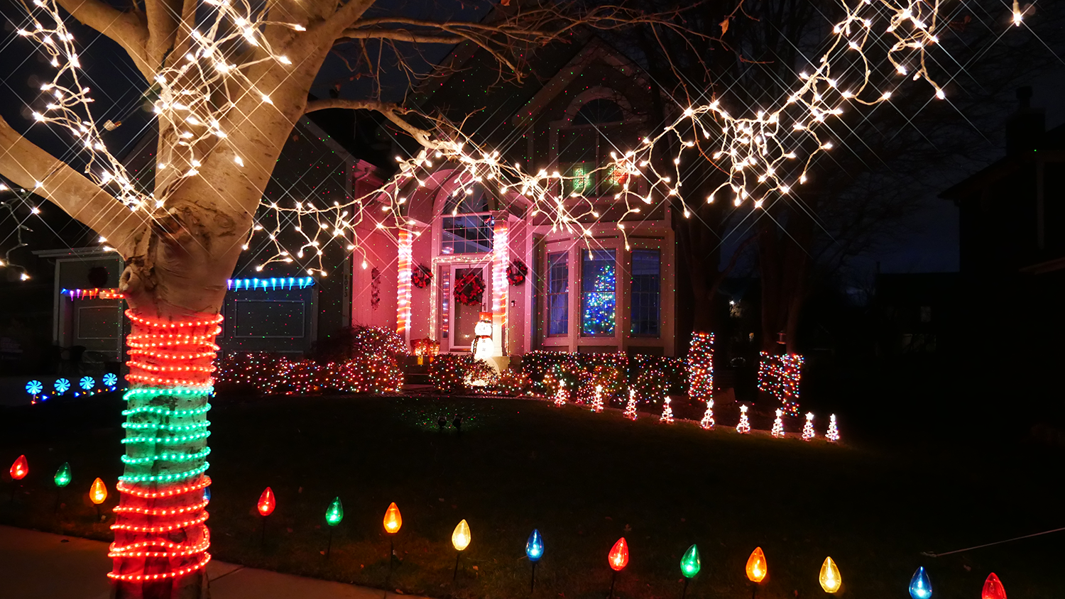 A tree wrapped in red, green and white holiday lights stands in front of a house, which is decorated in various multicolored bring lights.