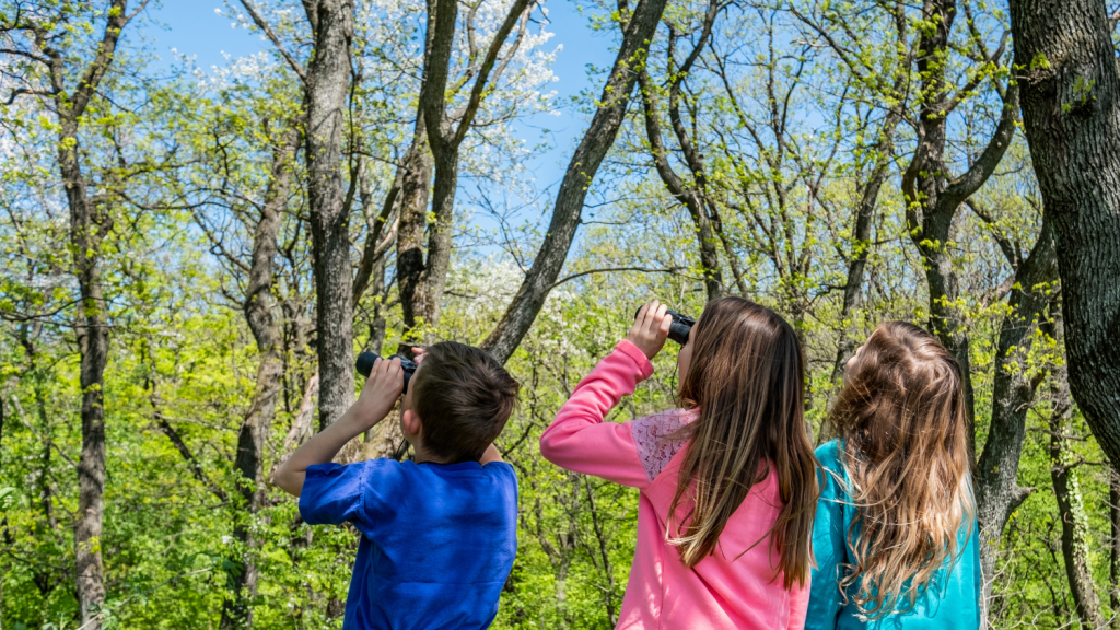 Three children peer up at trees in a forest, two using small binoculars.