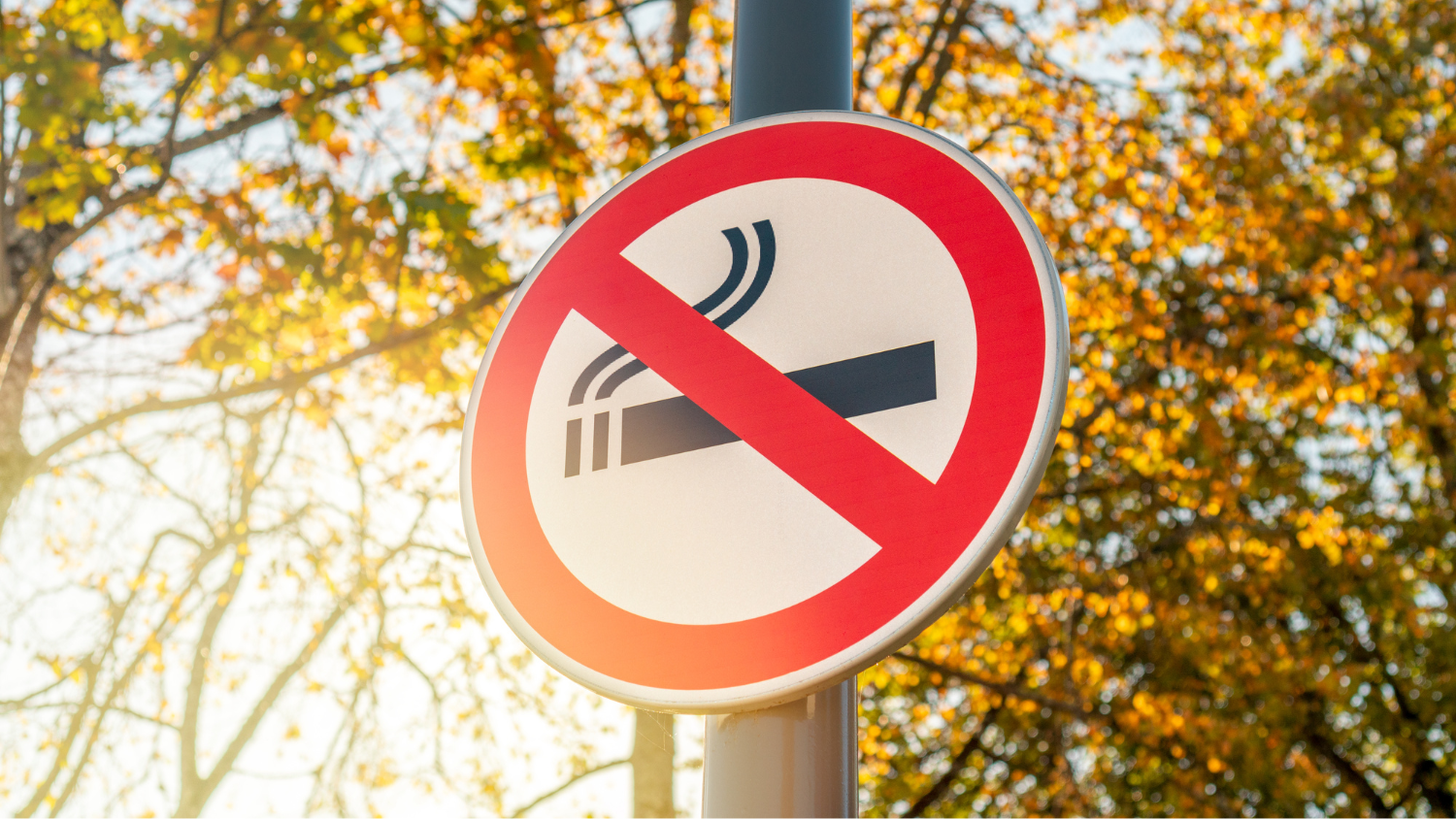 A No Smoking sign hangs on an outdoor pole.